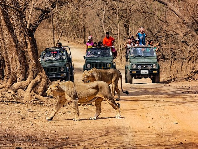 affordable tour packages in Kolkata