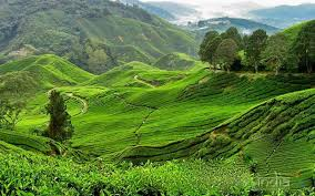 affordable tour packages in Kolkata